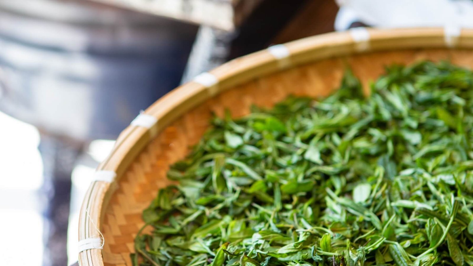 Focus On A Healthier Way Of Life